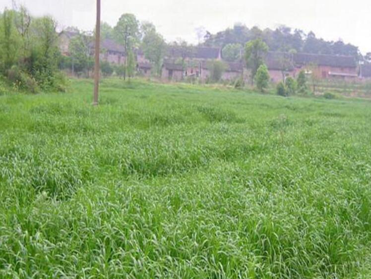 1645785773657795.jpg 2.jpg