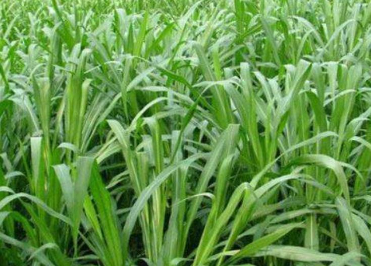 1645785784556151.jpg 3.jpg