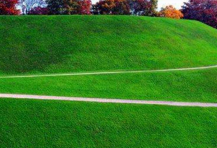 1645791458351965.jpg 1.jpg