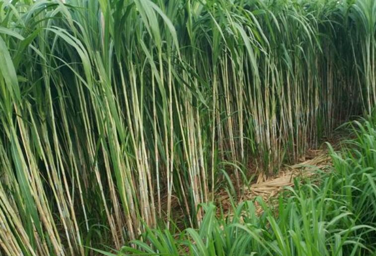 1645799281707921.jpg 1.jpg