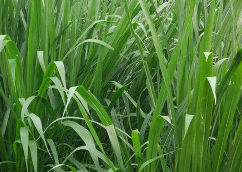 1645799289999877.jpg 2.jpg