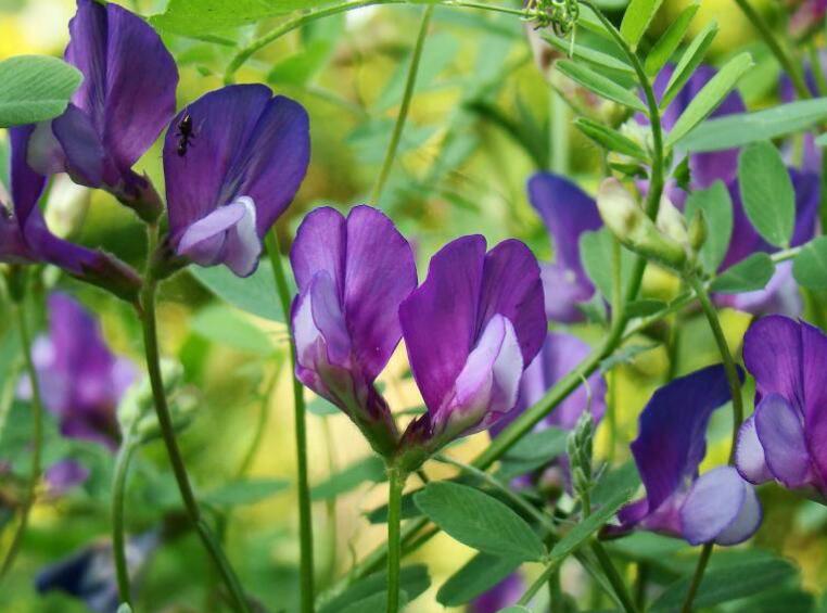 1645801154152912.jpg 3.jpg