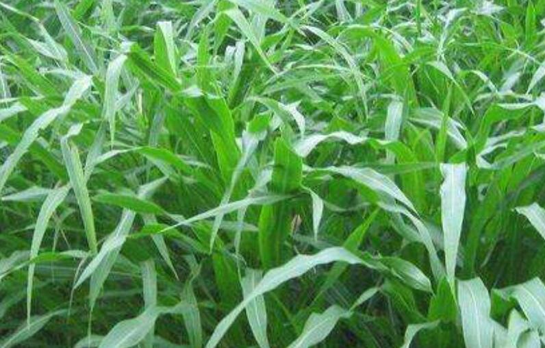 1645845293541861.jpg 1.jpg