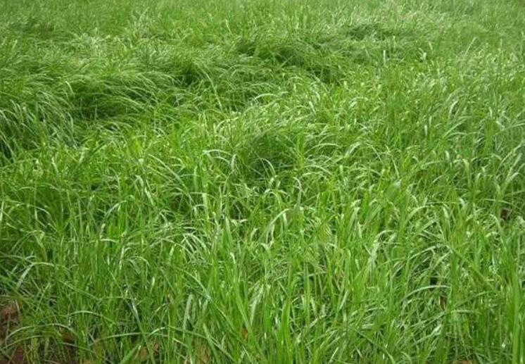 1645845303313186.jpg 2.jpg