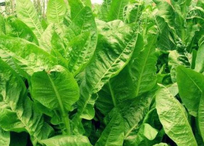 1646192594995177.jpg 1.jpg