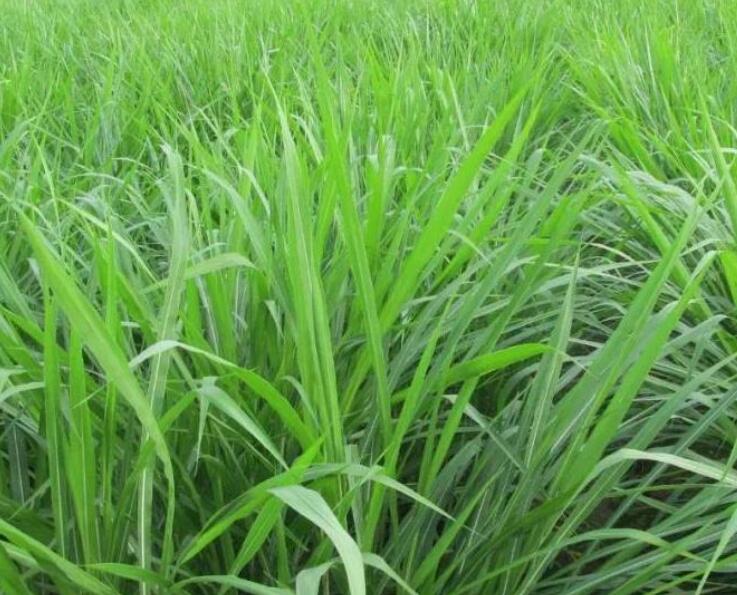 1646446498725723.jpg 3.jpg