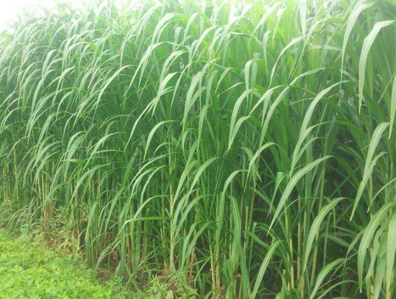 1646446977921944.jpg 3.jpg