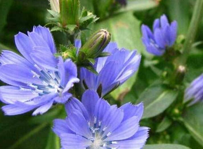 1646485752202667.jpg 2.jpg