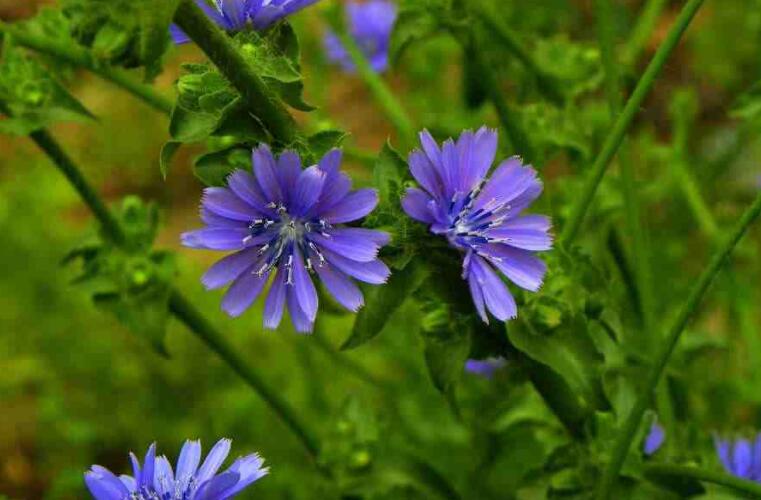 1646486373357484.jpg 1.jpg