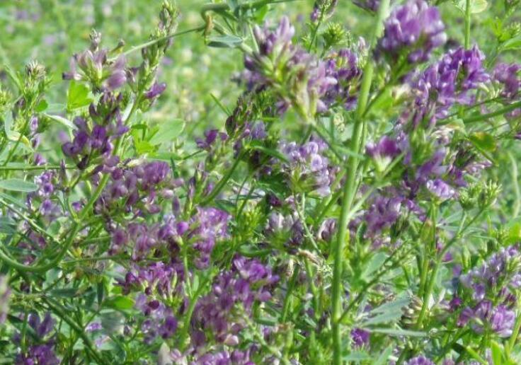 1646708991702535.jpg 3.jpg