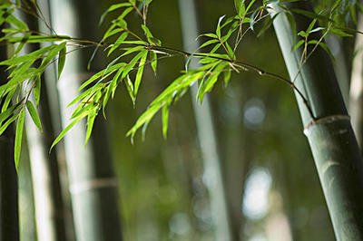 1646744099951238.jpg 1646744099951238.jpg