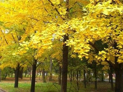 1646809619897854.jpg 1646809619897854.jpg