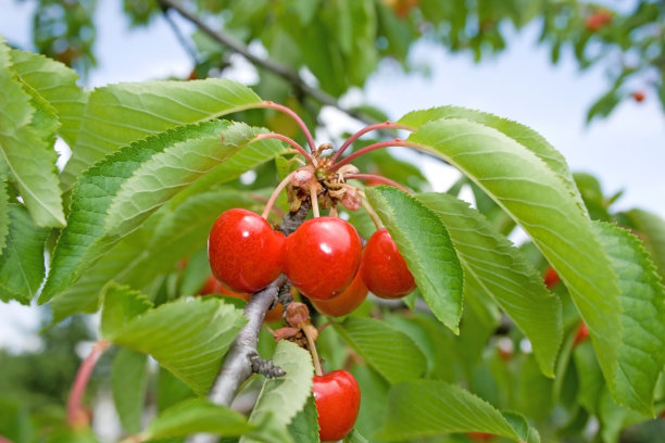 1646812684403558.jpg 1646812684403558.jpg