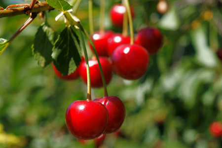 1646812731435077.jpg 1646812731435077.jpg