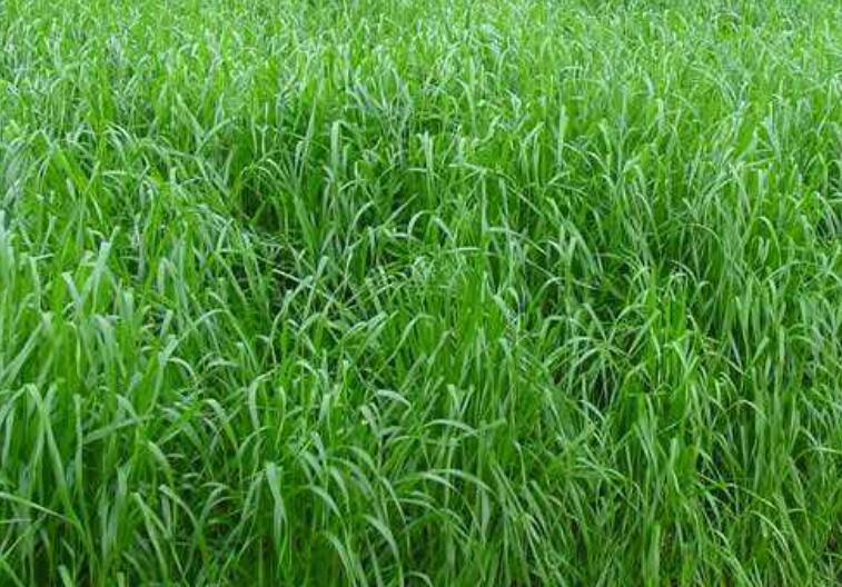 1646826814253602.jpg 1646826814253602.jpg