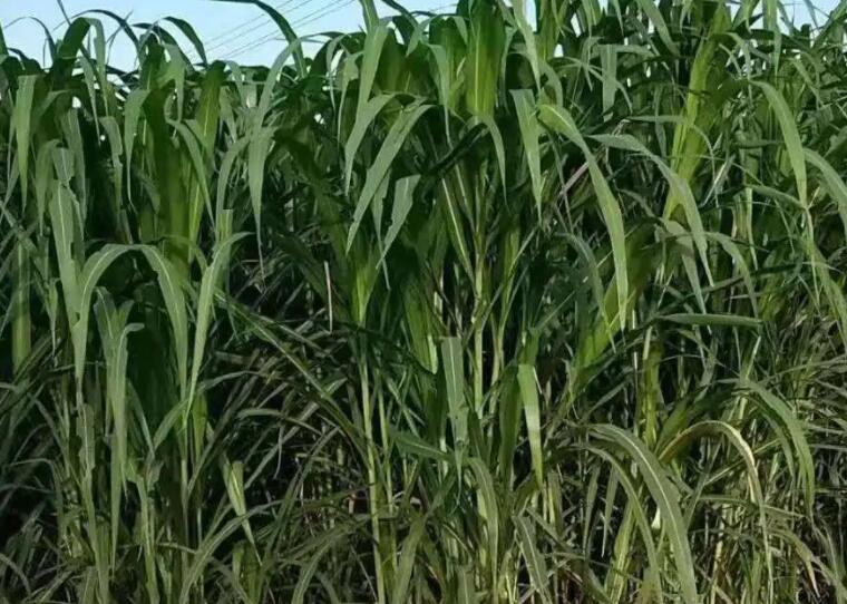 1647010685607565.jpg 2.jpg