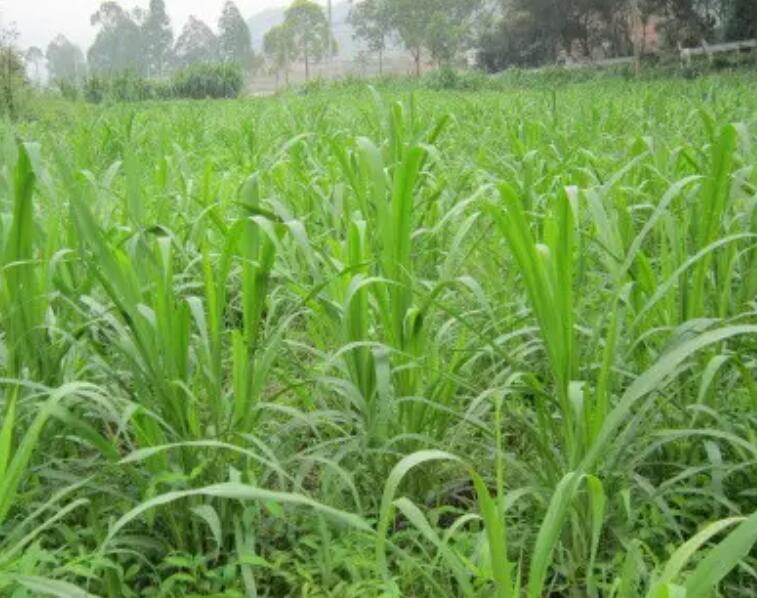 1647011368579230.jpg 2.jpg