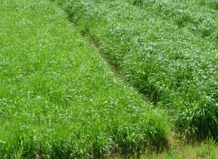 1647096718767025.jpg 1.jpg