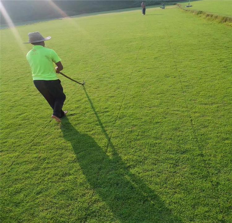 1647397959536666.jpg 1647397959536666.jpg