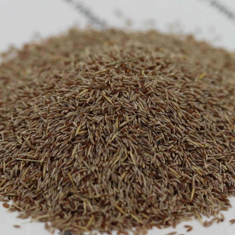 1647401234735839.jpg 1647401234735839.jpg