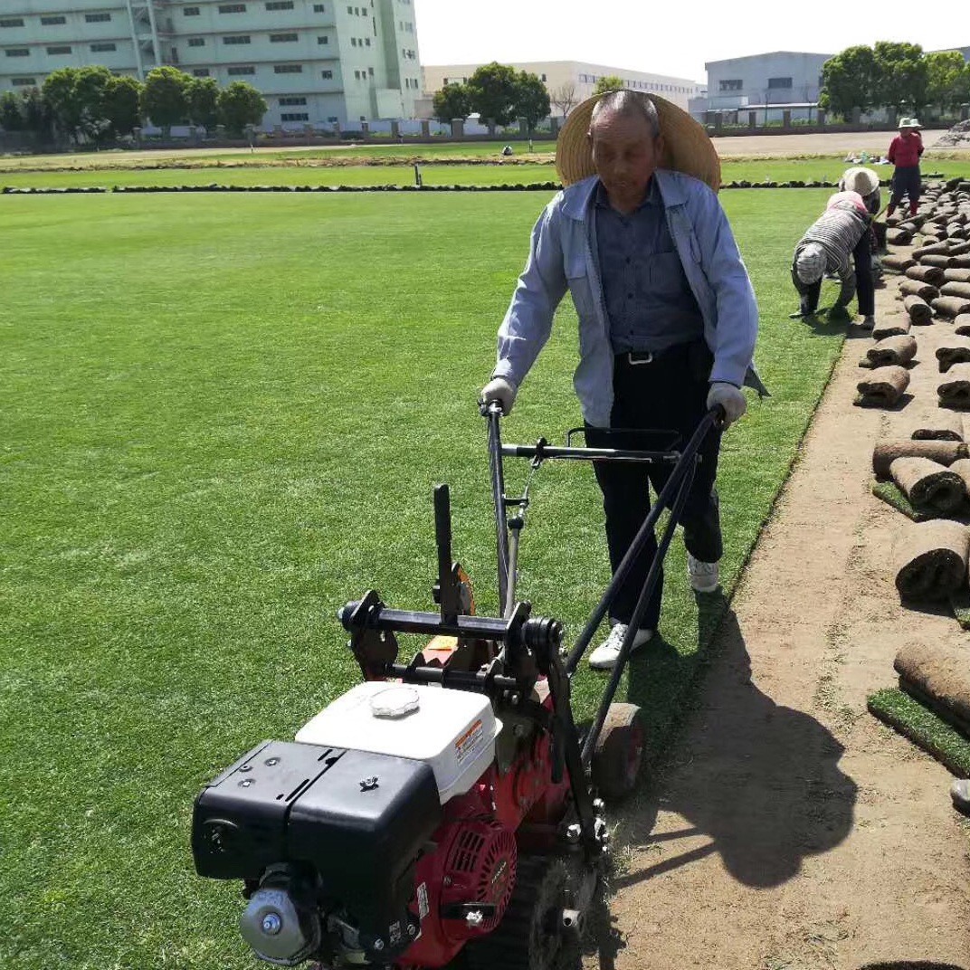 1647406352566429.jpg 1647406352566429.jpg