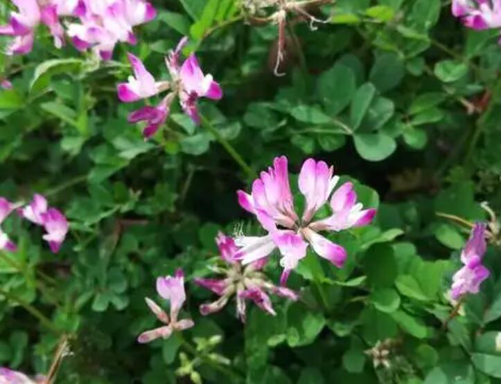 1647429380478750.jpg 2.jpg