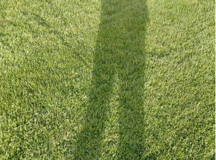 1647433819580385.jpg 1647433819580385.jpg