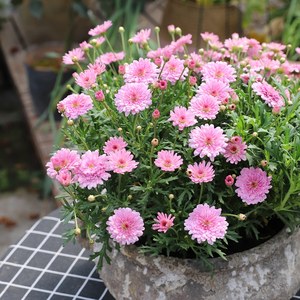 1647514271362583.jpg 1647514271362583.jpg