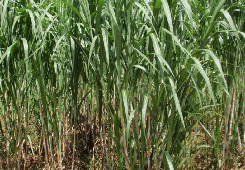 1647602855481974.jpg 1647602855481974.jpg