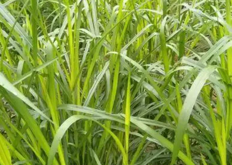 1647602938458036.jpg 1647602938458036.jpg