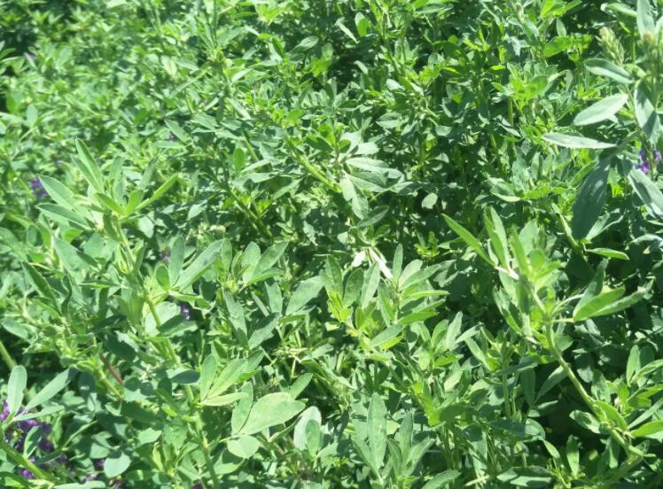 1647604651682085.jpg 1647604651682085.jpg