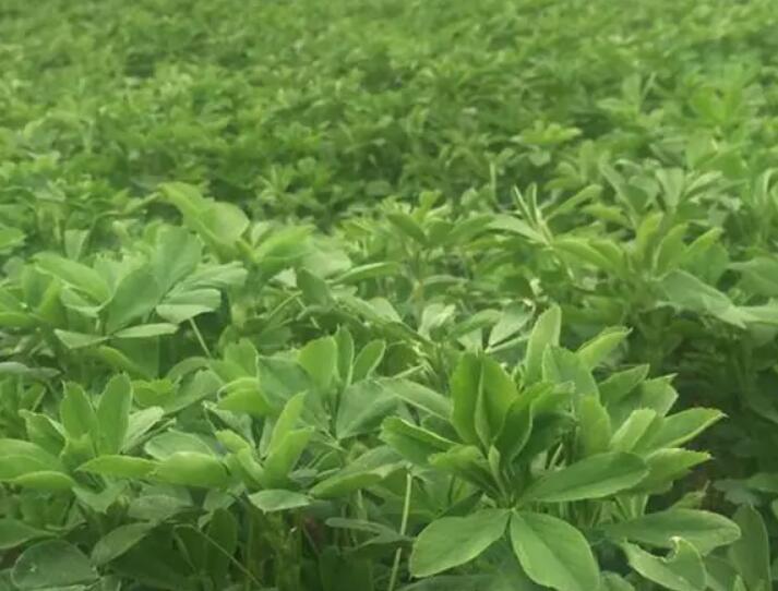 1647604666996753.jpg 1647604666996753.jpg