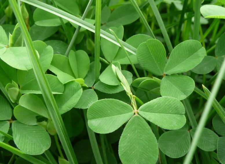 1647784105814579.jpg 2.jpg