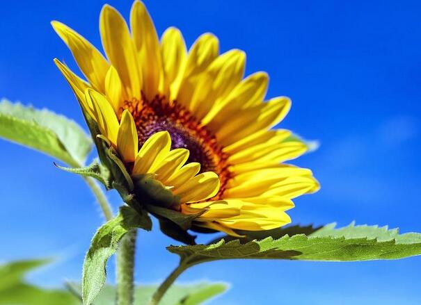 1648104063223067.jpg 1648104063223067.jpg