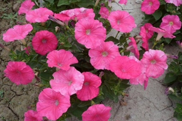 1648104741107712.jpg 1648104741107712.jpg