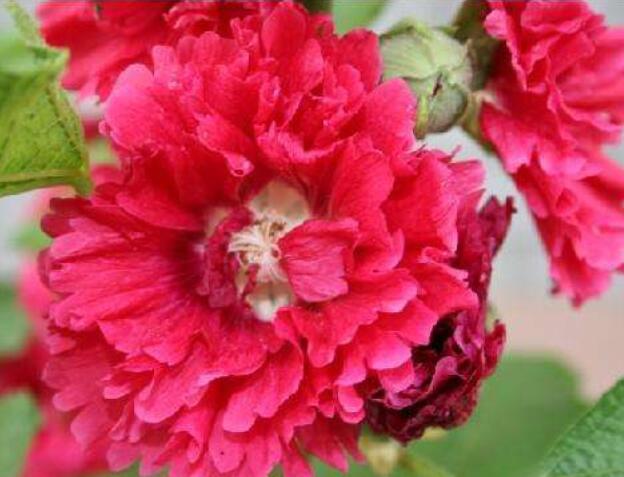 1648104741249895.jpg 1648104741249895.jpg