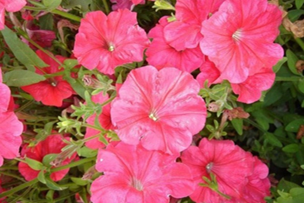 1648104741303089.jpg 1648104741303089.jpg