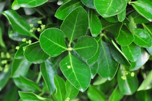 1648122357239783.jpg 1648122357239783.jpg