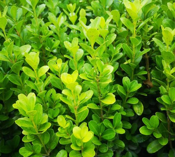 1648178937251300.jpg 1648178937251300.jpg