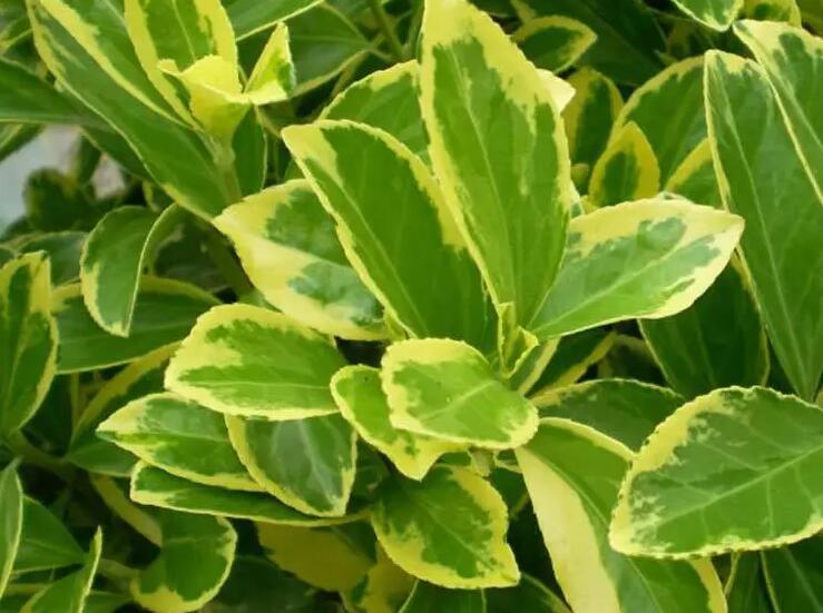 1648178937853940.jpg 1648178937853940.jpg