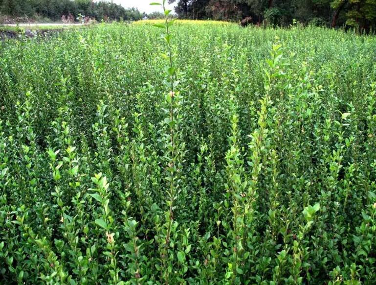 1648183614384856.jpg 1648183614384856.jpg