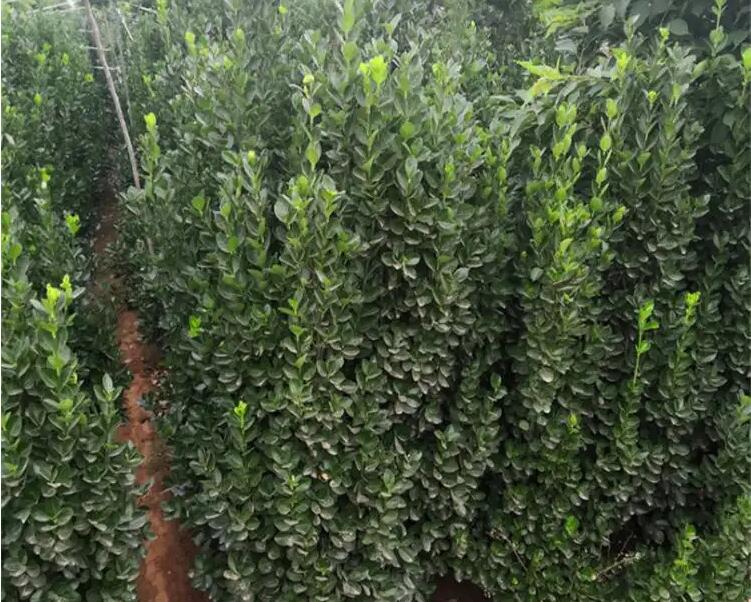 1648183614635720.jpg 1648183614635720.jpg