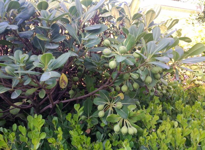 1648626409228943.jpg 1648626409228943.jpg