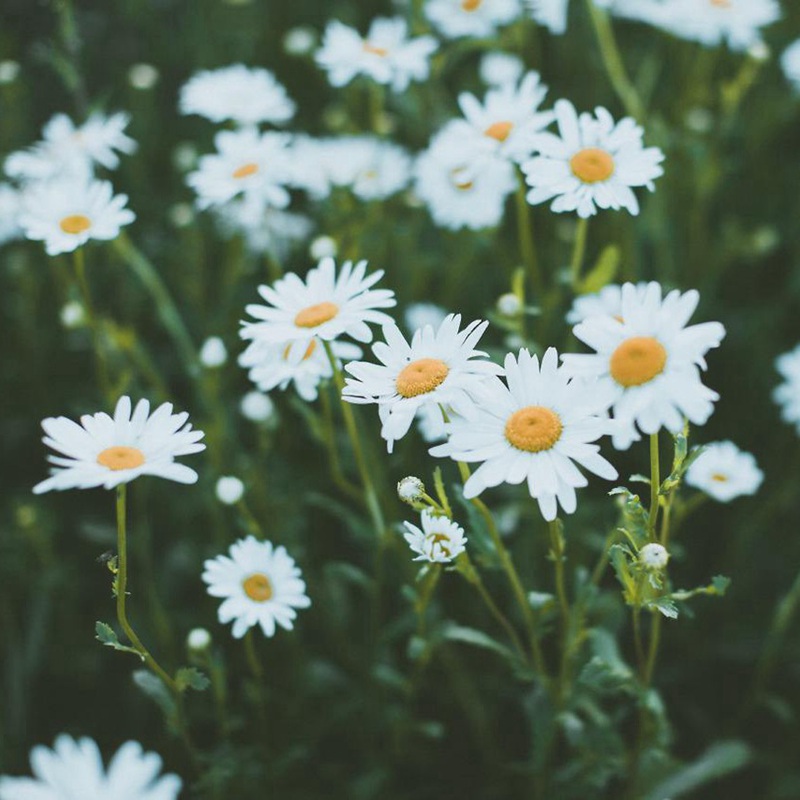 1649322007152750.jpg 1649322007152750.jpg