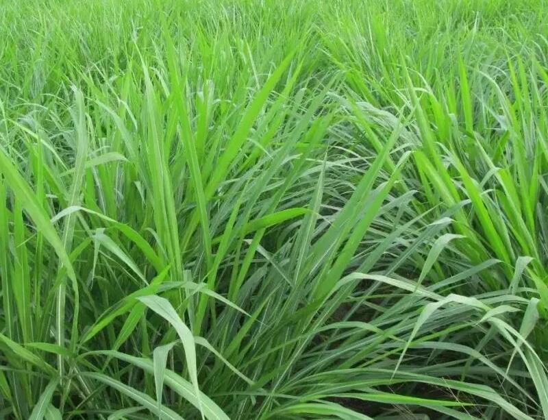 1649326708807145.jpg 1649326708807145.jpg