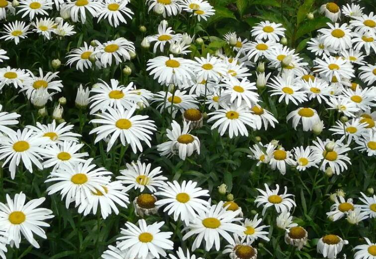 1649423308594909.jpg 1.jpg