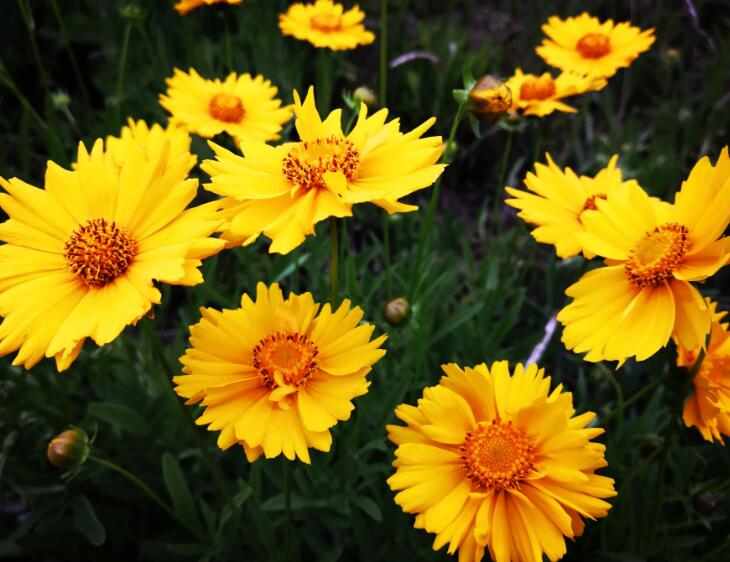 1649423745173907.jpg 1.jpg