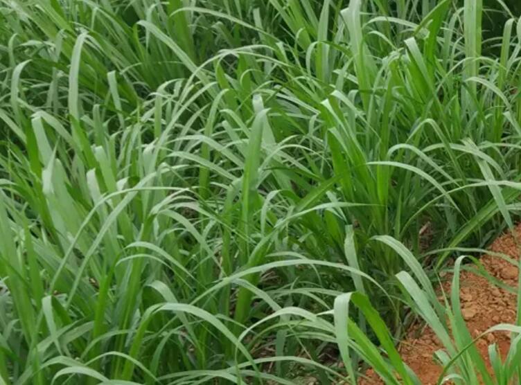 1649427112369533.jpg 1.jpg