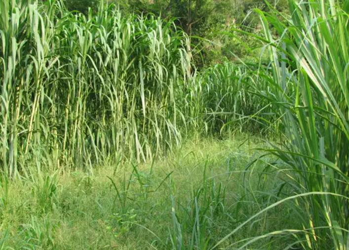 1649511669842887.jpg 3.jpg