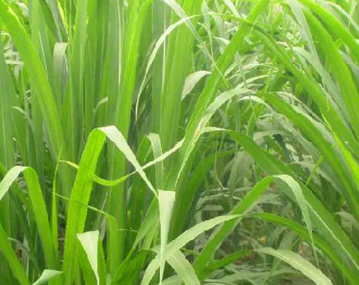 1649918295858841.jpg 2.jpg